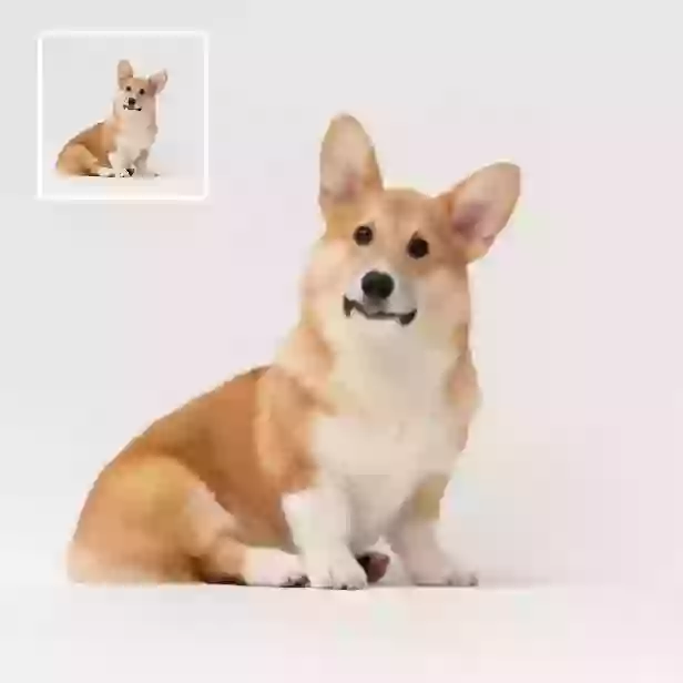 Generador de imágenes a vídeos - crea vídeos de alta calidad a partir de fotos