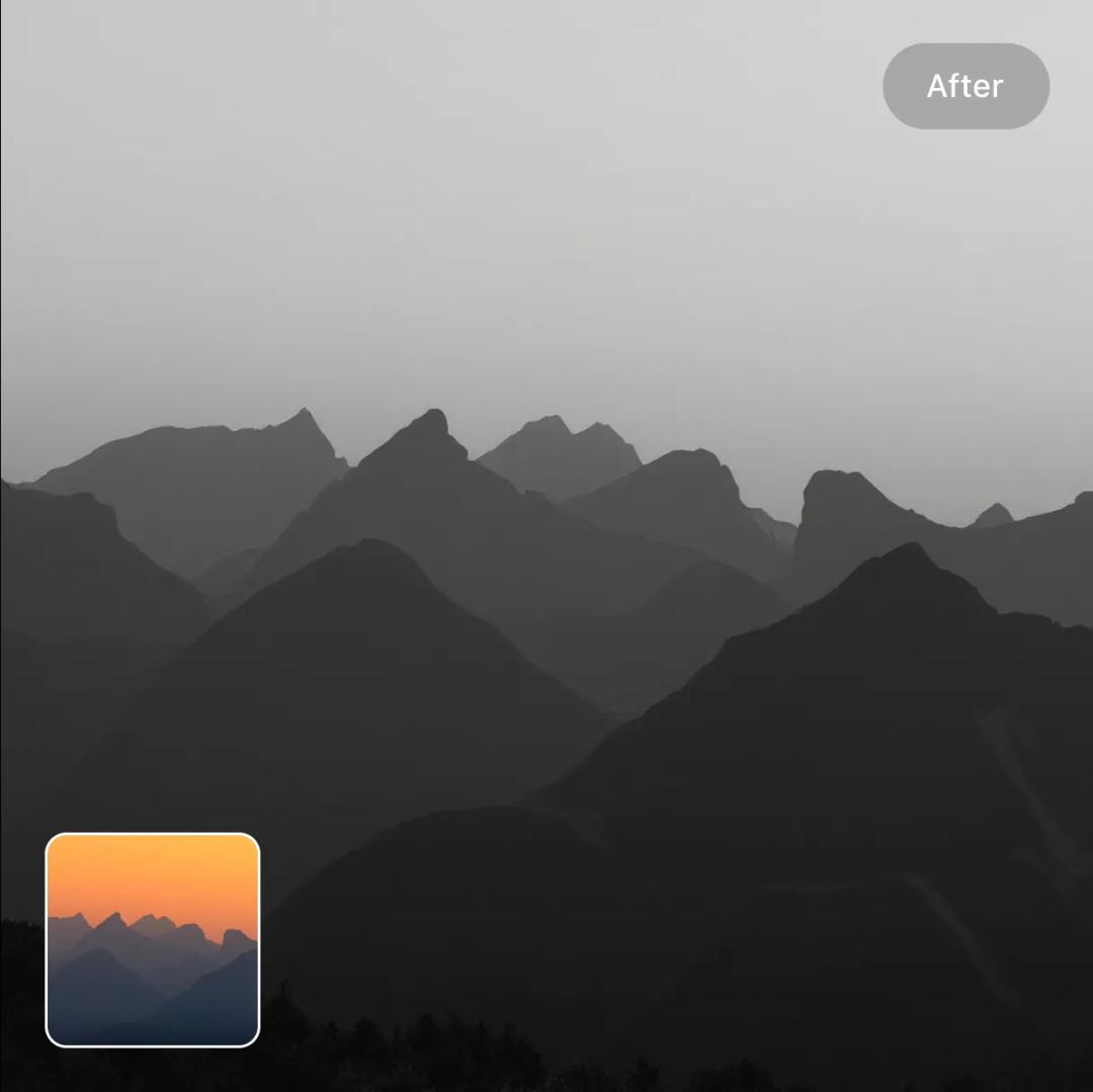 color_photo_to_black_and_white preview image