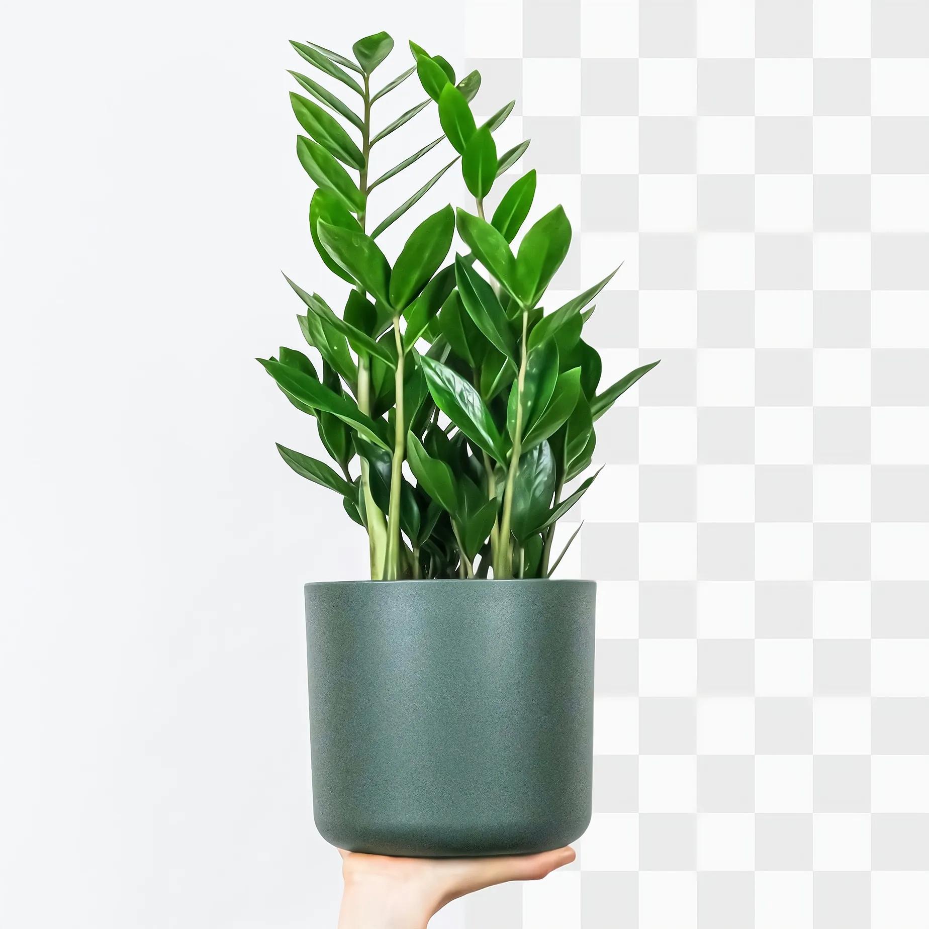 How to use background_remover