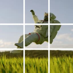 Divisor de imágenes placeholder