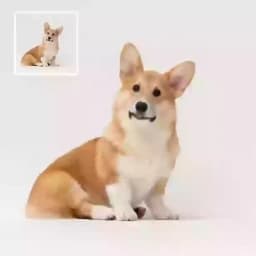 Imagen a vídeo placeholder