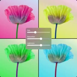 Imagen HSL placeholder