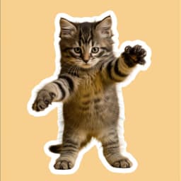 Esquema de la imagen placeholder