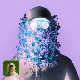 Invertir imagen placeholder